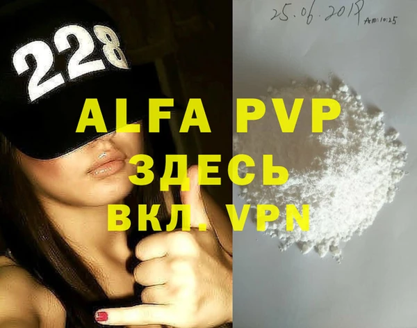 шишки Белая Холуница