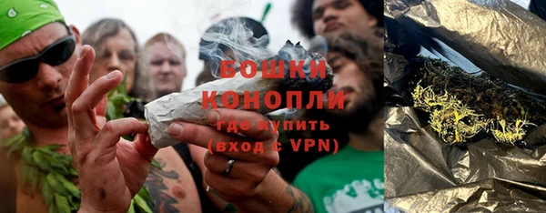 крисы Наволоки