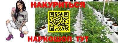 гидра Абакан