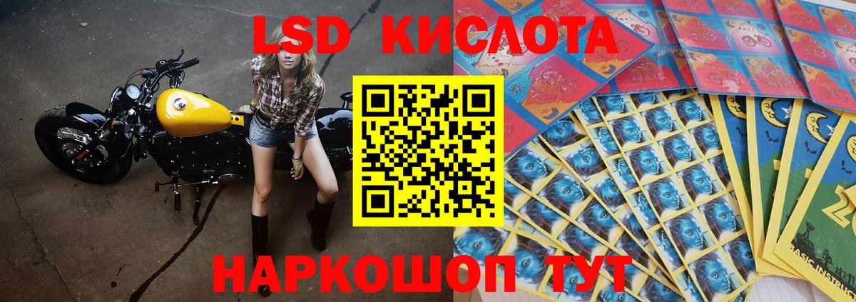 LSD-25 экстази кислота  Нефтекумск  Лсд 25 экстази кислота 
