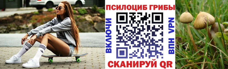 KRAKEN ссылки  Нефтекумск  Галлюциногенные грибы Cubensis 