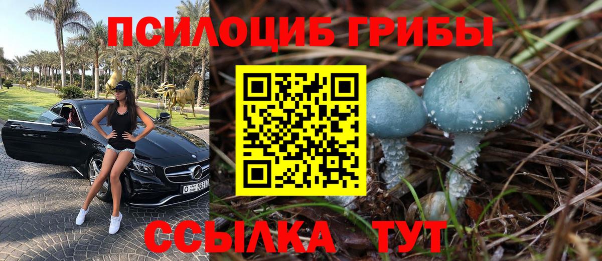 Псилоцибиновые грибы мухоморы  Вход с VPN  Нефтекумск 