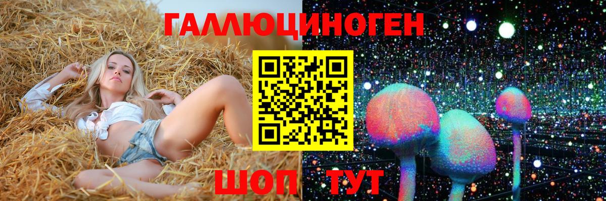 Галлюциногенные грибы Psilocybe  Нефтекумск  Галлюциногенные грибы Psilocybine cubensis 